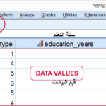 spss-data-values-in-data-view
