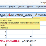 spss-dictionary-information-in-data-view
