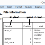 spss-display-dictionary-output – Copy