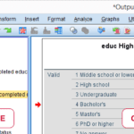 spss-output-outline-and-output-items