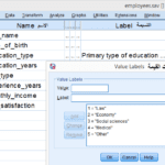 spss-value-labels-in-variable-view (1)