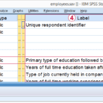 spss-variable-view