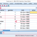 spss-variables-cases-values-in-data-view