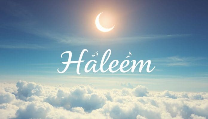 تفسير اسم حليم