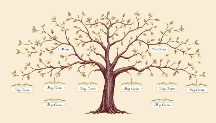 نموذج شجرة العائلة فارغة pdf