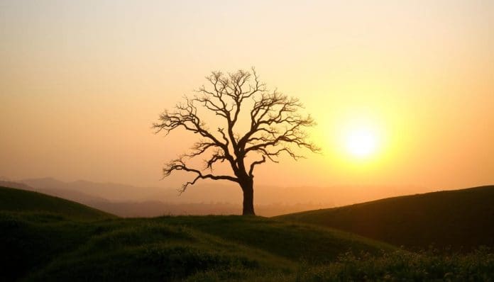 حكمة عن الصدق