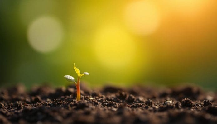 درس البذرة النامية