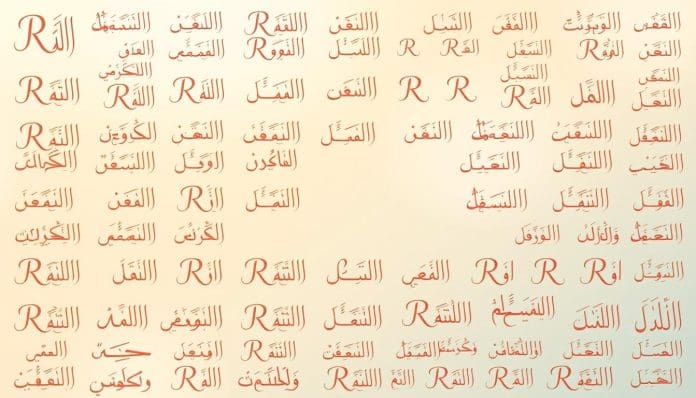 أسماء بنات ر