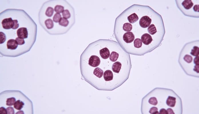 الرمز البريدي