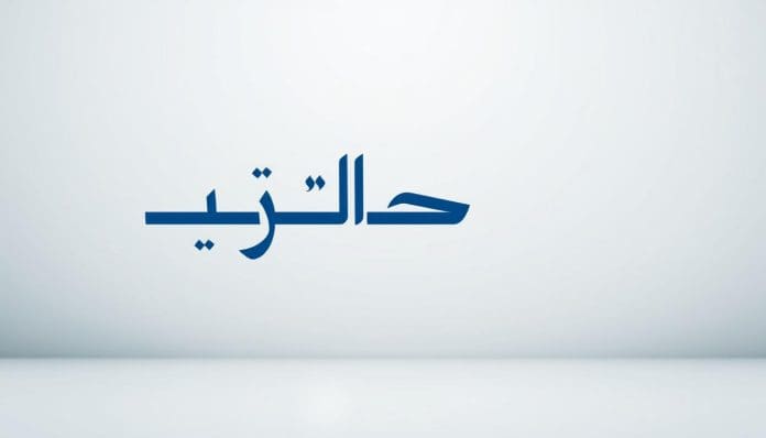 معنى missing بالعربي