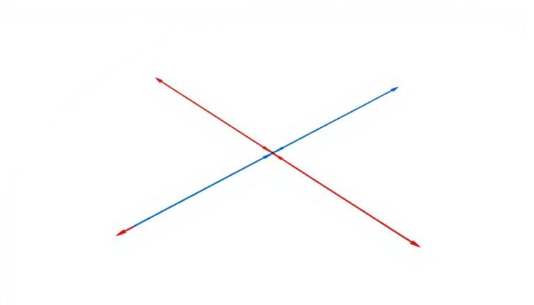 ما هو المحور السيني “x and y-axis”