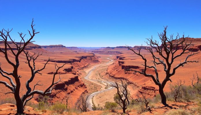 اوت باك استرالي