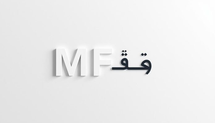 معنى mfs